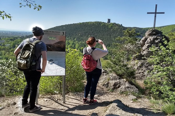 2-Hour Private Hiking Tour Helenental Castles Hike from Vienna - Key points to know before you book