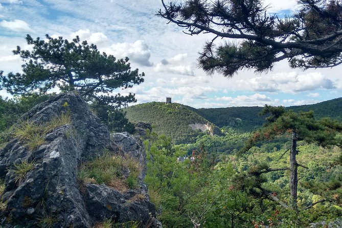 2-Hour Private Hiking Tour Helenental Castles Hike from Vienna - Who will enjoy this hike most
