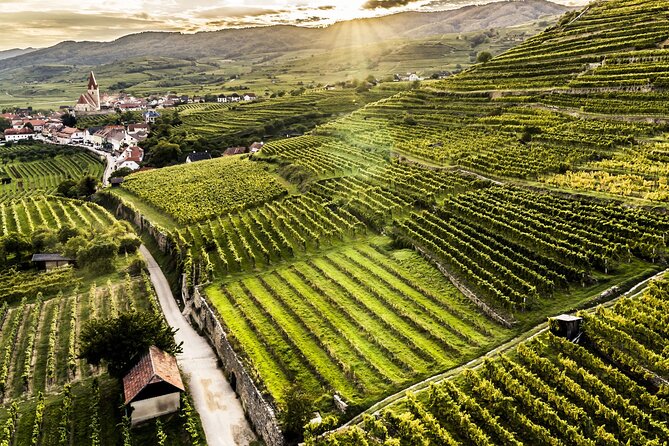 3 Castles & Wine Private Tour in Wachau Valley (incl. Melk Abbey) - Dürnstein, Richard the Lionheart, and lunch