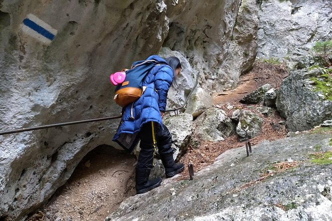 4-Hour Private Alpine Great George at High Wall Mountain from Vienna - Leaving Vienna for the Hohe Wand