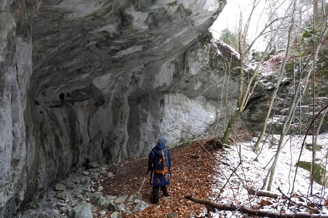 4-Hour Private Alpine Great George at High Wall Mountain from Vienna - What the guide adds to the day