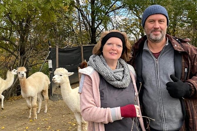 Alpaca and llama hike Moedling near Vienna - Starting at In den Messerern