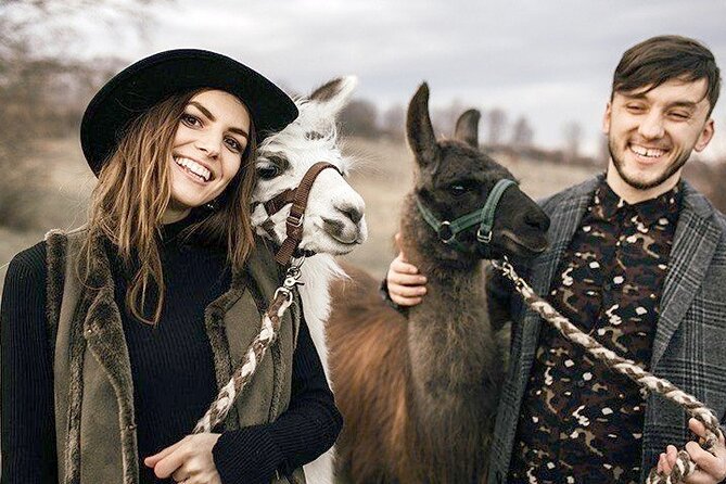 Alpaca and llama hike Moedling near Vienna - Meeting your alpaca or llama