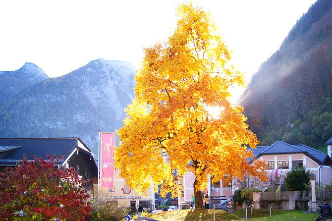 Alpine Hallstatt Day Trip from Vienna incl. Admont Abbey Visit - Who should book this day trip