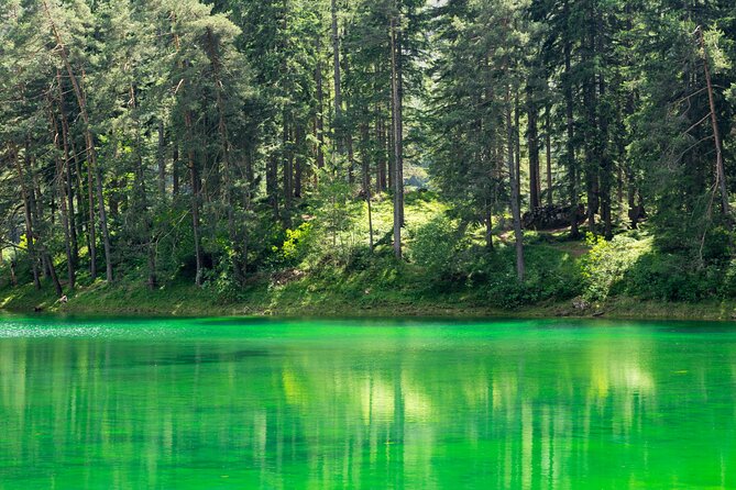 Alpine Recharge: Private Nature Walk at Green Lake & Scenic Views - What the $449 price really buys you