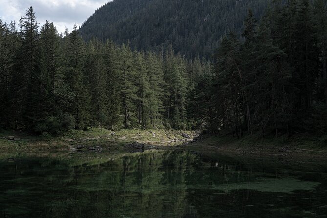 Alpine Recharge: Private Nature Walk at Green Lake & Scenic Views - Who should book this private nature outing