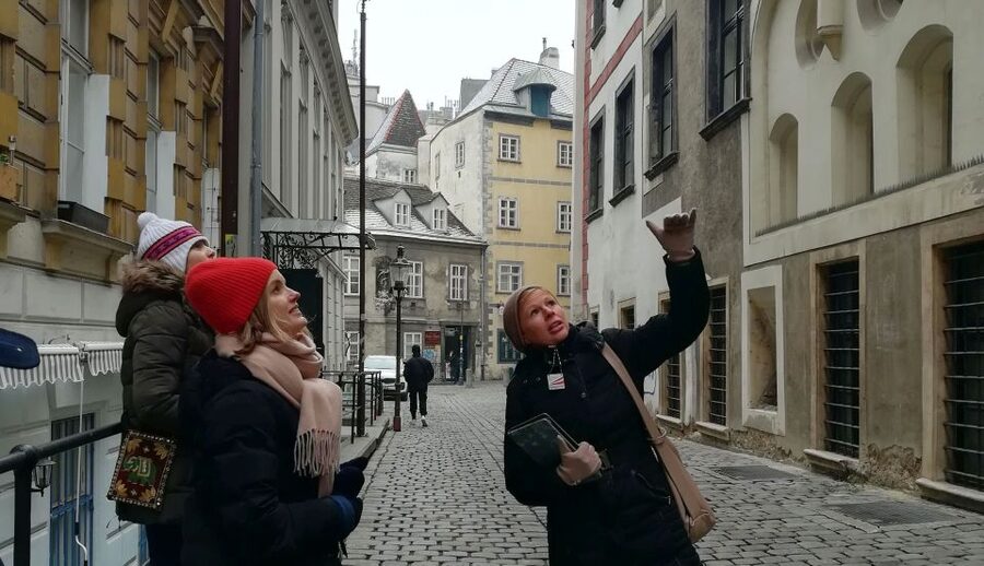 An Introduction to Vienna Walking Tour - Who should book this experience?