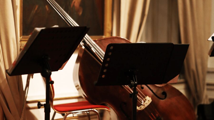 Best of Mozart & Strauss - Mozart and Strauss in one compact Vienna evening