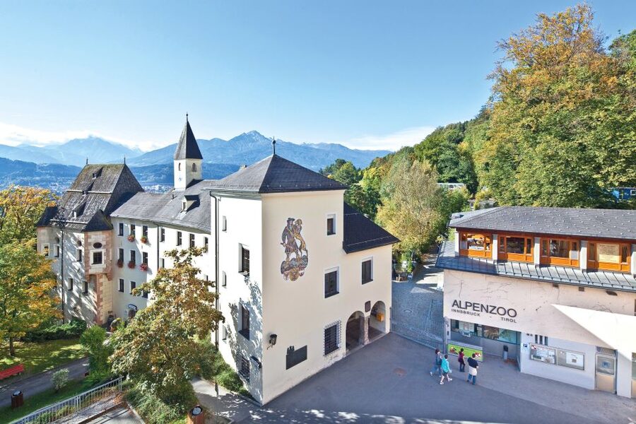 Combi Entrance Ticket to Alpine Zoo and Hungerburg - Why this Alpine Zoo trip is different