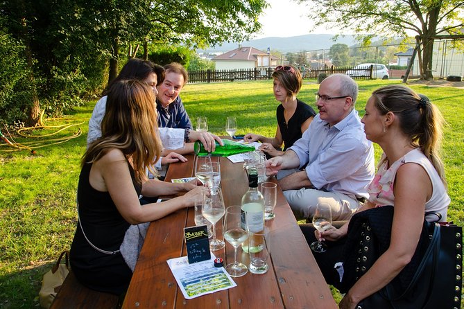 Countryside Half Day Wine Tour near Vienna - Key points to know before booking