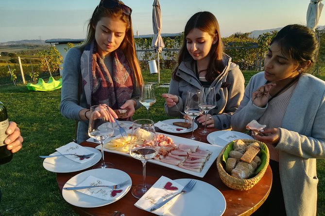 Countryside Half Day Wine Tour near Vienna - Second winery: tastings, views, and the main meal