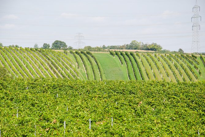 Countryside Half Day Wine Tour near Vienna - The guides shape the whole afternoon
