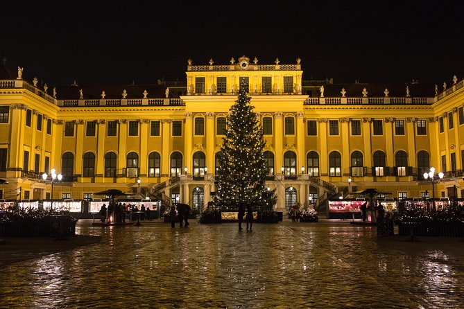 Exclusive Evening at Schönbrunn Palace: After-Hours Audiotour, Dinner, Concert - Dinner near the palace, with mixed results