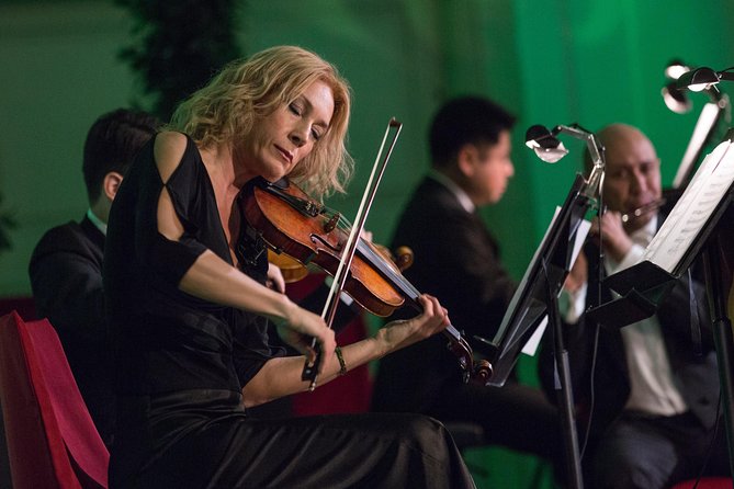Exclusive Evening at Schönbrunn Palace: After-Hours Audiotour, Dinner, Concert - Is VIP worth the extra cost?