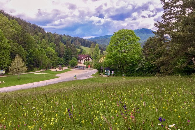 Exploring the Gutenstein Alps - Why this countryside trip works so well