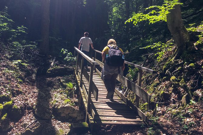 Exploring the Gutenstein Alps - What the $263.93 price includes