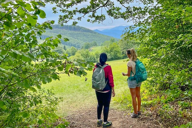 Exploring the Gutenstein Alps - Forest paths and the Schneeberg viewpoint