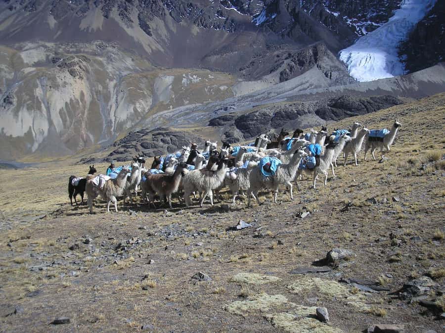 From La Paz: Condoriri Andes, Pico Austria Full Day Hiking - The best time to go from April through December