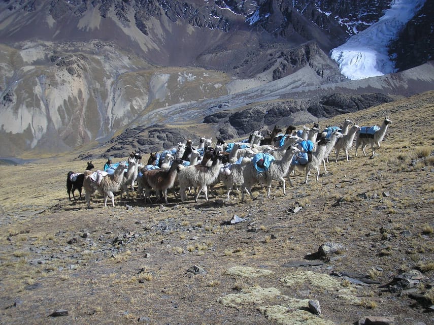 From La Paz: Condoriri Andes, Pico Austria Full Day Hiking - Aymara meaning behind the Condoriri mountain