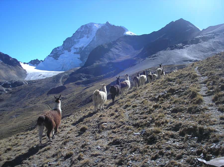 From La Paz: Condoriri Andes, Pico Austria Full Day Hiking - What the private transport and small group add