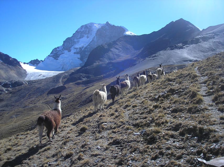 From La Paz: Condoriri Andes, Pico Austria Full Day Hiking - Is $140 per person good value?