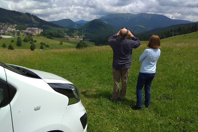 From Prague: Private Hallstatt Alps Day Trip with Lakeside Picnic - Driver service versus a guided tour