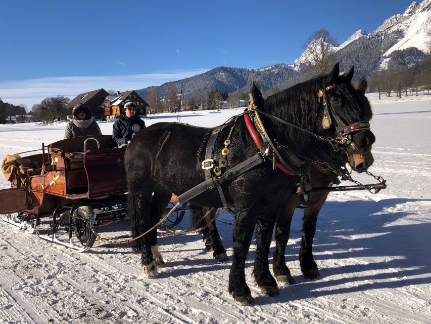 From Salzburg: 8-hour Horse-Drawn Tour w/ 2-hour Sleigh Ride - From Mirabellplatz to the Dachstein region