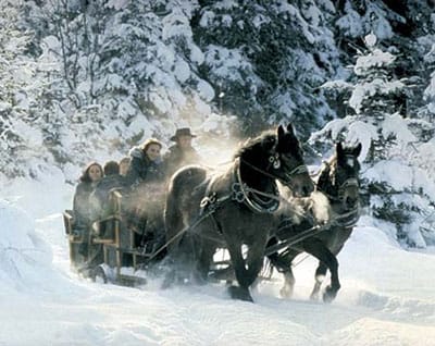 From Salzburg: 8-hour Horse-Drawn Tour w/ 2-hour Sleigh Ride - Reaching Ramsau at more than 3,700 feet
