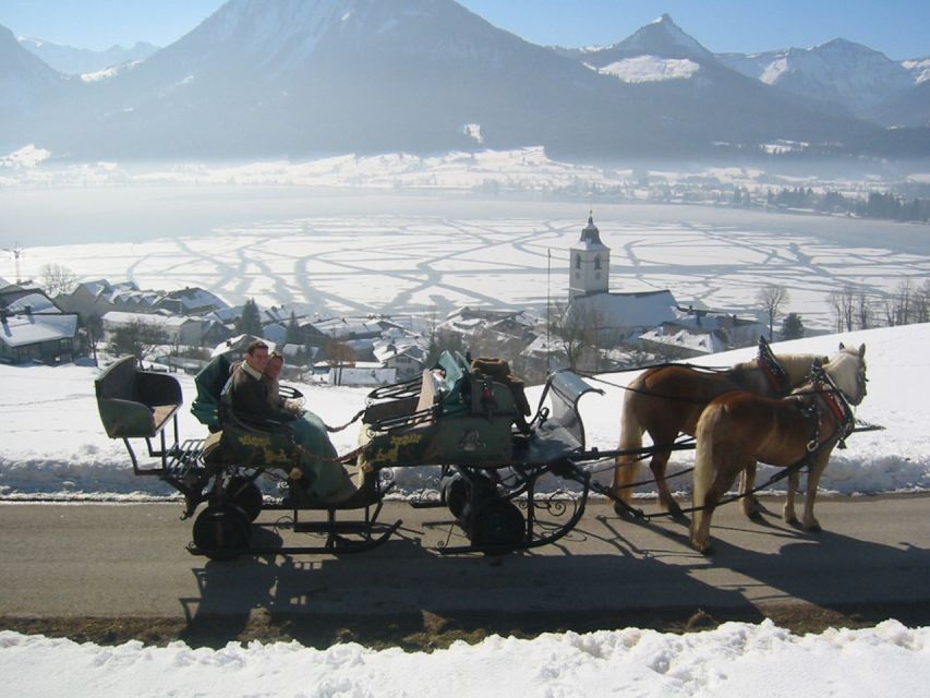 From Salzburg Romantic Carriage Ride through the Countryside - Key points to know before booking