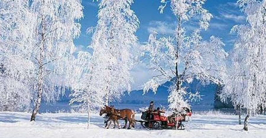 From Salzburg Romantic Carriage Ride through the Countryside - Leaving Salzburg for Lake Wolfgang