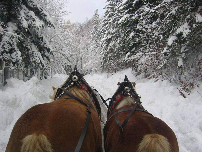 From Salzburg Romantic Carriage Ride through the Countryside - Guides who shape the experience