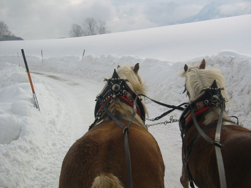 From Salzburg Romantic Carriage Ride through the Countryside - Price, group size, and overall value