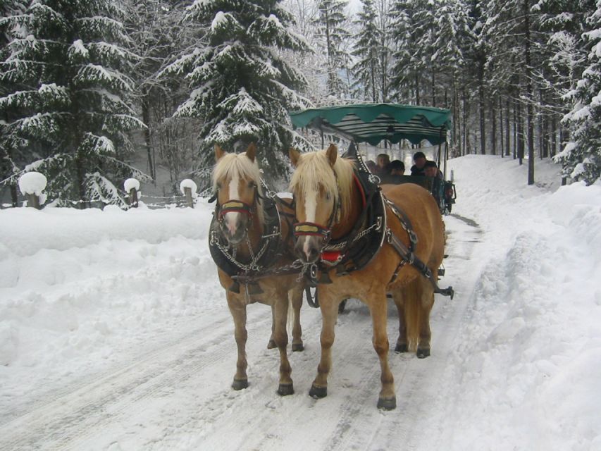 From Salzburg Romantic Carriage Ride through the Countryside - Who will enjoy this outing most