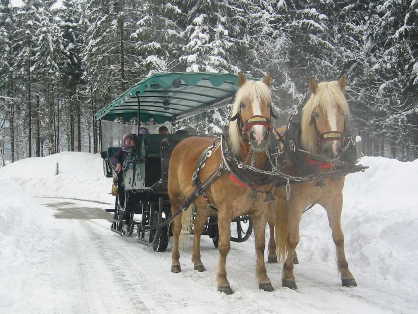 From Salzburg Romantic Carriage Ride through the Countryside - Practical tips for a better four hours