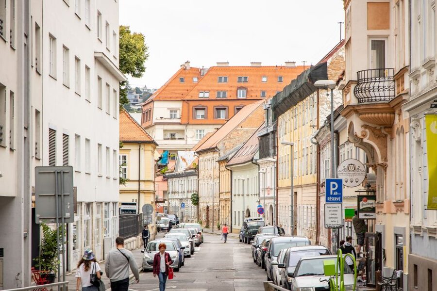 From Vienna: Bratislava Day Trip - Who Will Like This Bratislava Day Trip