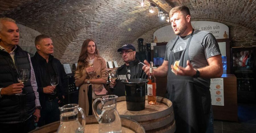 From Vienna: Explore the Tastes of Bratislava on a Day Trip - Getting from Vienna to Bratislava by Slovak Lines bus