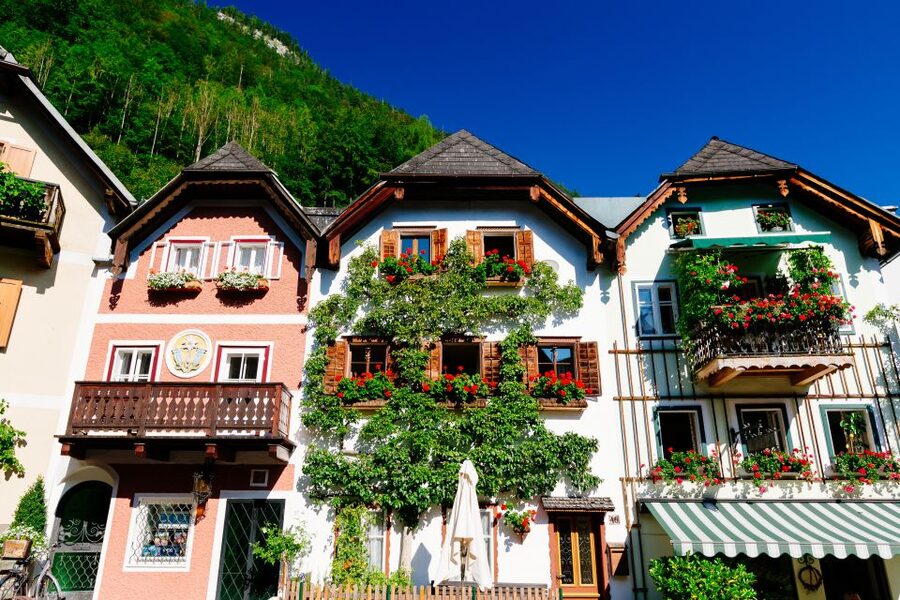 From Vienna: Full Day Trip to Hallstatt and Salzkammergut - Who will enjoy this day most?