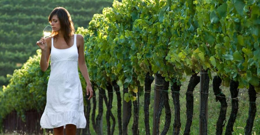 From Vienna: Half-day Countryside Wine Tour with Meal - Key points at a glance