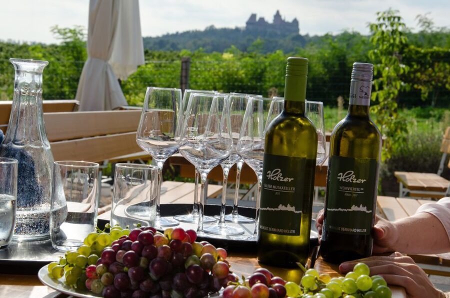 From Vienna: Half-day Countryside Wine Tour with Meal - Second winery: compare styles, not just labels