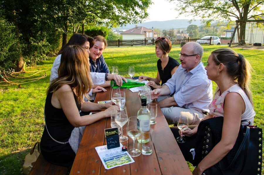 From Vienna: Half-day Countryside Wine Tour with Meal - Who should book this wine tour?