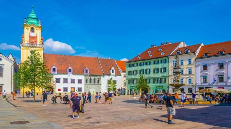 From Vienna: Private Day Tour of Devin Castle & Bratislava - Leaving Vienna in a private vehicle