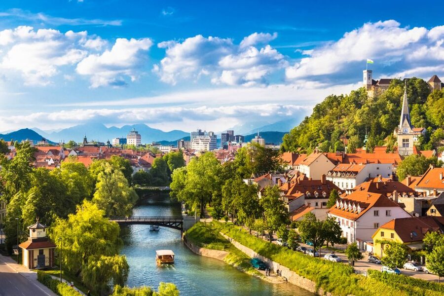 From Vienna: Private Day Tour of Ljubljana and Lake Bled - Free Time for Lunch and Old Town Wandering