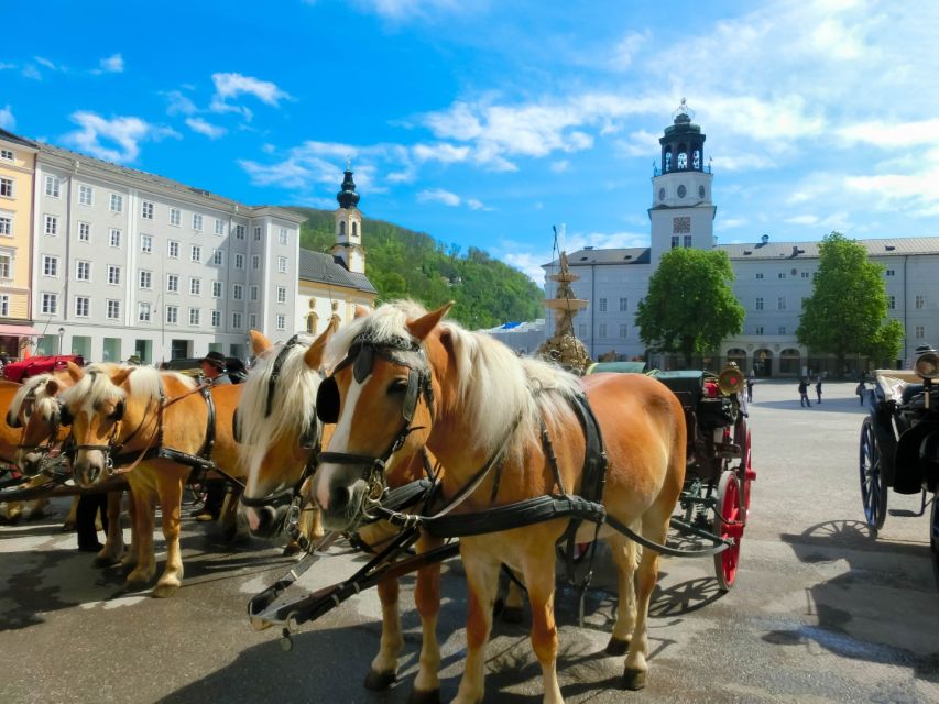 From Vienna: Salzburg Small-Group Day Trip - Who will enjoy this trip most