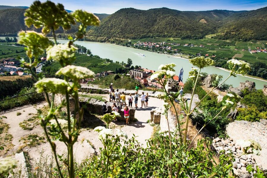 From Vienna: Wachau Valley Day Tour with Wine Tasting - Is $234 a Fair Price?