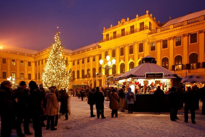 Full Day Private Vienna Christmas Market tour from Budapest with lunch - Schönbrunn Gardens and the former imperial palace