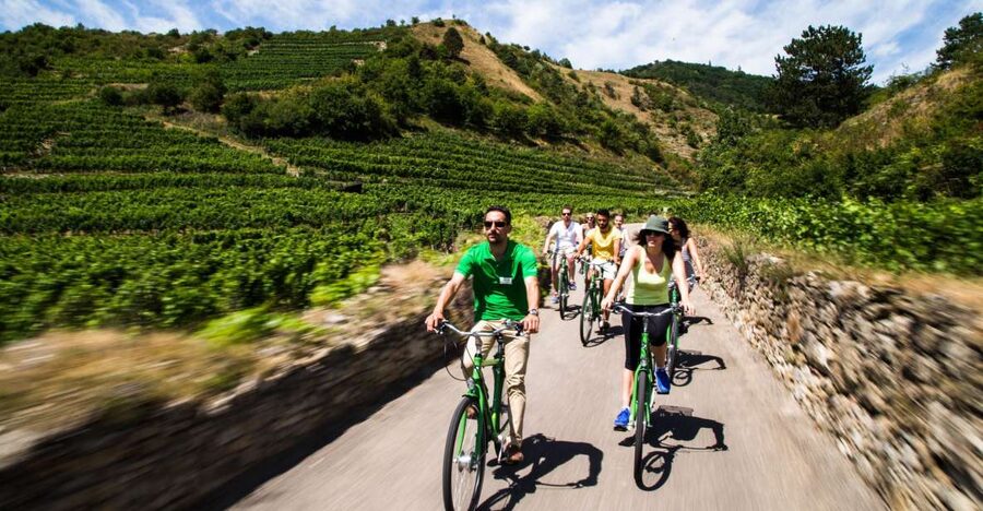 Grape Grazing: Wachau Valley Winery Biking Tour - Five things to know before you book