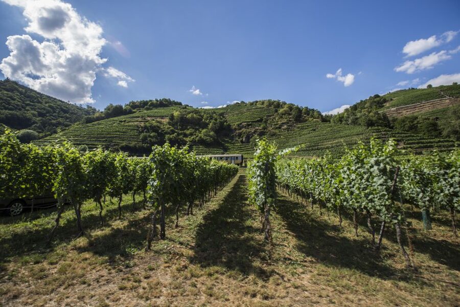 Grape Grazing: Wachau Valley Winery Biking Tour - Why the Wachau Valley makes a fine day outside Vienna