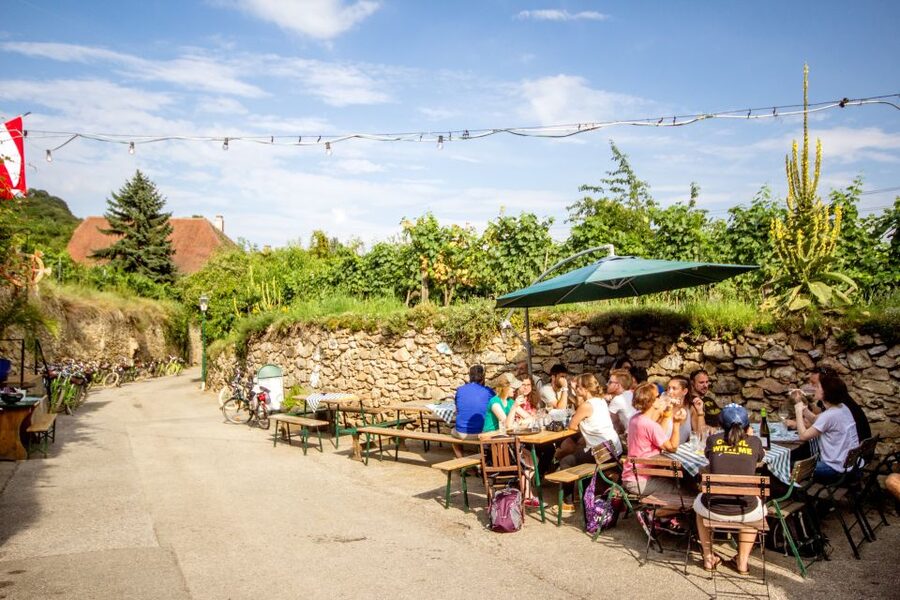 Grape Grazing: Wachau Valley Winery Biking Tour - The first tasting introduces the valley’s wine style