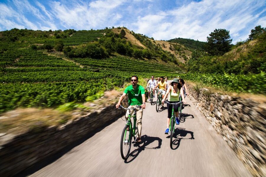 Grape Grazing: Wachau Valley Winery Biking Tour - The train from Vienna to Krems sets the day’s pace