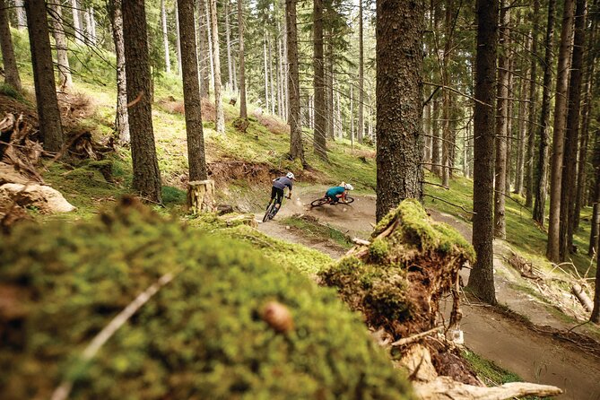 Guided downhill biking at Bikepark Innsbruck - Key points to know before you ride